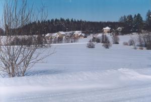 Snímek zimní krajiny v Českých Lhoticích